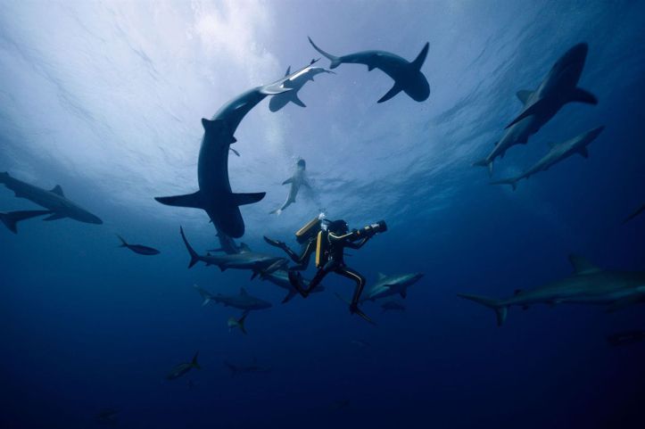 L-Odyssee-la-critique